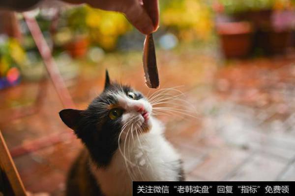 90%的人，定投基金都亏在了不会止盈