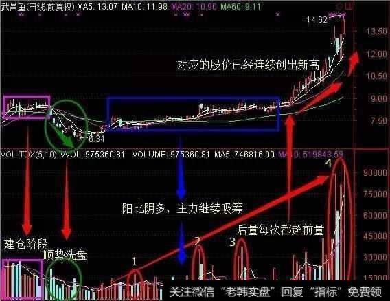 中国股民再次发声：熬过了15年的股灾，却倒在了18年“牛皮”熊！