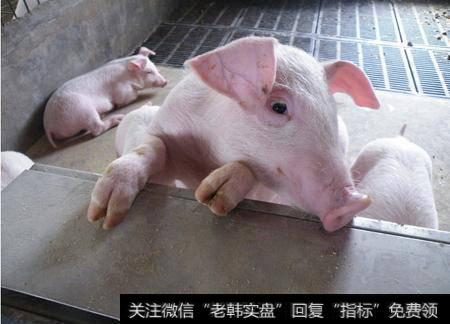 跌吧，最好跌到一块一斤，不跌小散饭碗难保！