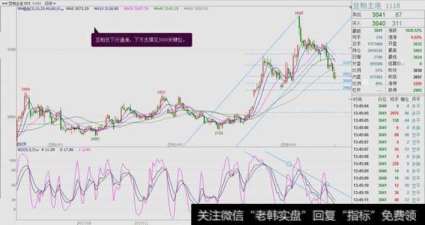 豆粕期货深陷技术性熊市压制