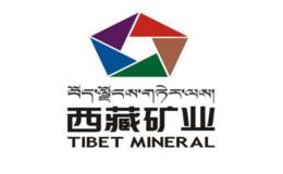 股价异动：西藏矿业(000762)急速拉升，成交量放大