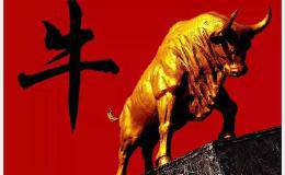 涨停股复盘：「干货」强势股的盘口特点
