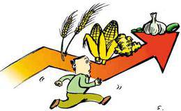 小麦大米价格大涨 农产品涨价概念股受关注