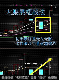 中国股市带血经验：谁为处于严重亏损的小散买单？