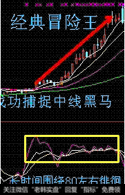 中国股市带血经验：谁为处于严重亏损的小散买单？