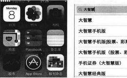 大智慧手机客户端下载与安装方法:应用商店中下载