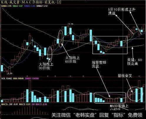 “熊市”突然爆发，A股散户将死无葬身之地 20年的老股民教你度过