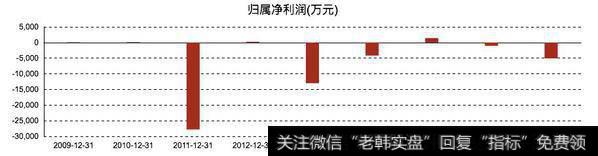 狮头股份归属净利润状况