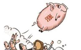 生猪价格现加速反弹 哪些猪肉概念股值得关注？