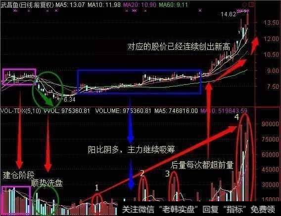 中国股市迎来“牛皮熊”时代！谁来为中国股市最后的血洗买单？