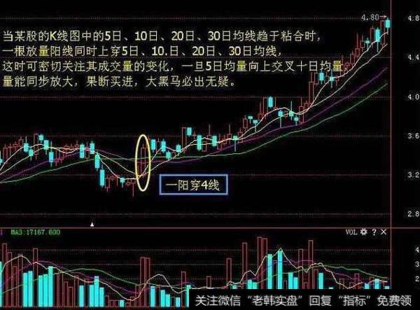 中国股市最牛的人滴血经验：量柱是庄家的标志，散户轻松跟庄赚钱