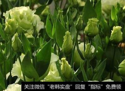中国<a href='/caijunyi/290233.html'>股市</a>要死守的铁律：谨记这些K线形态，再忙也要花几分钟学习