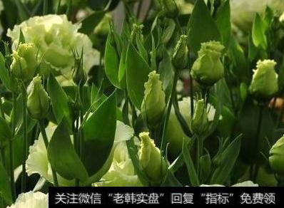 中国<a href='/caijunyi/290233.html'>股市</a>要死守的铁律：谨记这些K线形态，再忙也要花几分钟学习