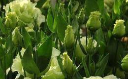 中国股市要死守的铁律：谨记这些K线形态，再忙也要花几分钟学习