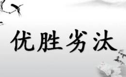 做不到这几点，投资就是一场赌博，谁能为中国股市小散买单？