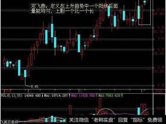 中国股市被迫进入“冰川时代”：谁能拯救处于水深火热的小散？