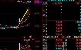 10天大涨83%，公司突遭停牌调查，小散：很愤怒，发财梦碎