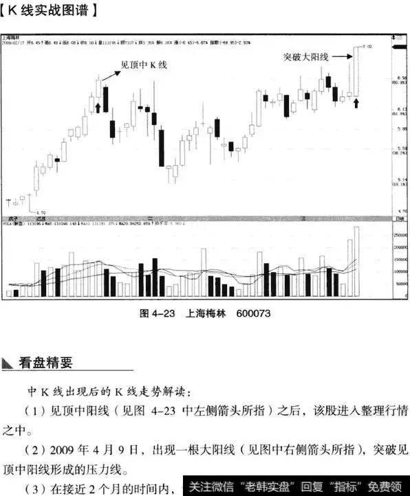 K线从入门到精通——中K线实战分析