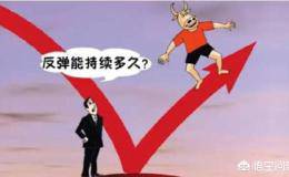 弱势行情下什么样的股票会反弹？