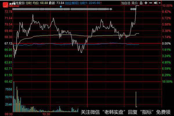 新锋龙股份