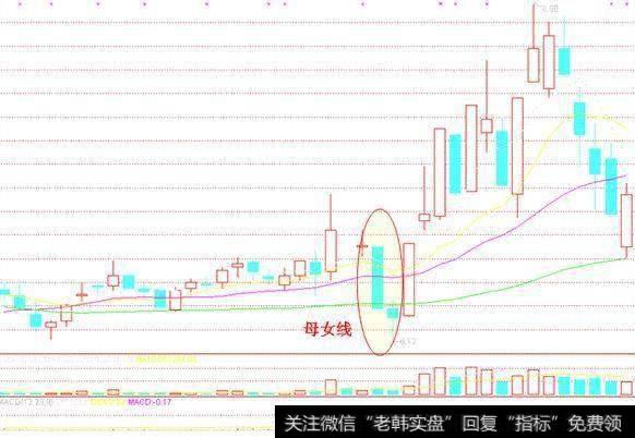 沽权跌出“母女”线,一般反弹两三天。