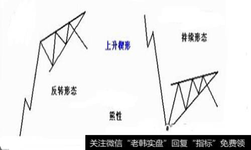 形态特征