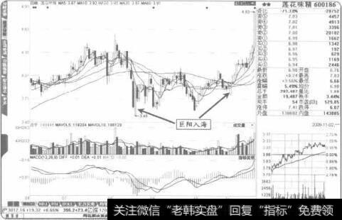 “巨阳入海”往往是“黑马”诞生的标志