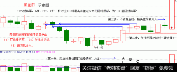 【阳盖阴】Yanggaiyin