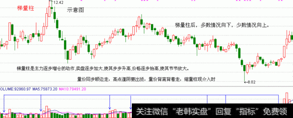 【梯量柱】Tiliangzhu