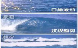 申申小课堂丨道氏理论