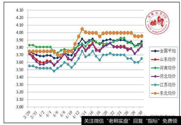 父母代鸡苗价格