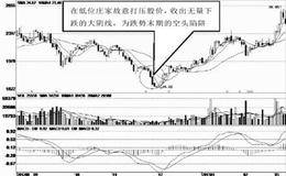 低价区域的大阴线 关注股价后市走势