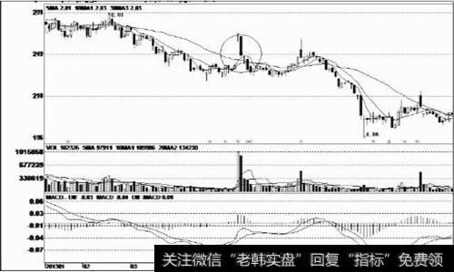 反弹结束后的大阴线 详细分析与实战操作