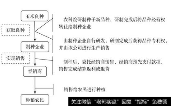 图20-4  玉米种子产业链条