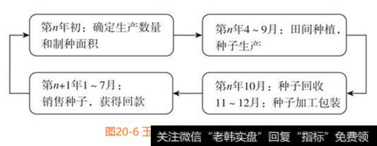 图20-6  玉米种子行业生产销售流程图