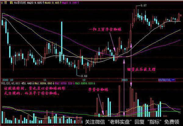 量也是以金蜘蛛的形式出现的。