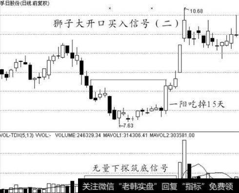 狮子大开口买入信号