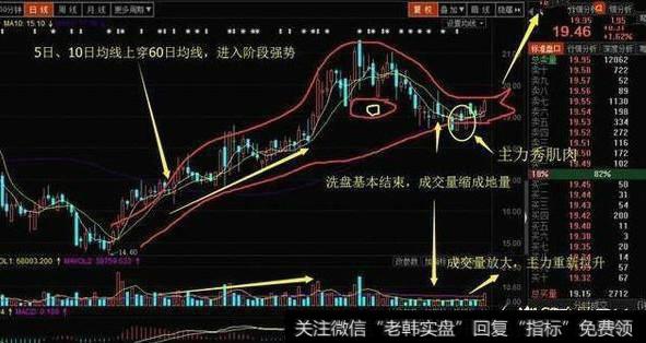 老鸭头形态鸭头部分的成交量缩放是关键