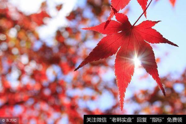 中国<a href='/caijunyi/290233.html'>股市</a>带血经验