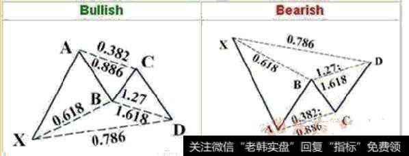 以作者名字命名的一种形态