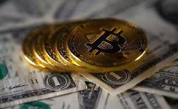 加密货币眼下最难解的谜题：重返牛市抑或死猫跳？