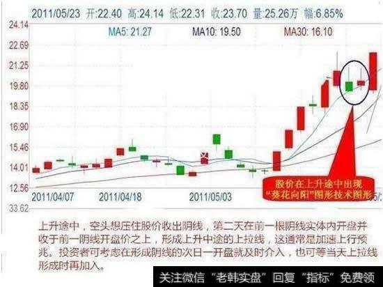 短线狙击技巧之葵花向阳