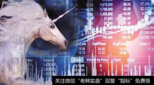 A股首只独角兽药明康德上市,还有多少个<a href='/zhangtingban/'>涨停板</a>?