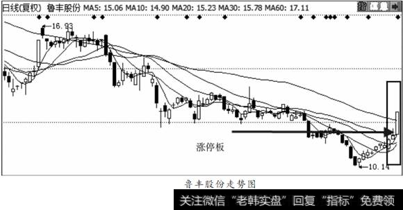 鲁丰股份走势图