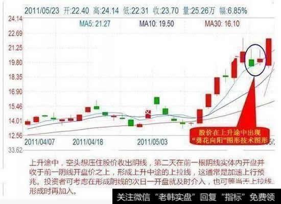 短线狙击技巧之葵花向阳