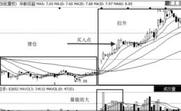 主力追踪买入突然放量涨停股