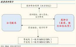 李立峰最新股市评论：如何测算当前股票质押规模及个股风险？