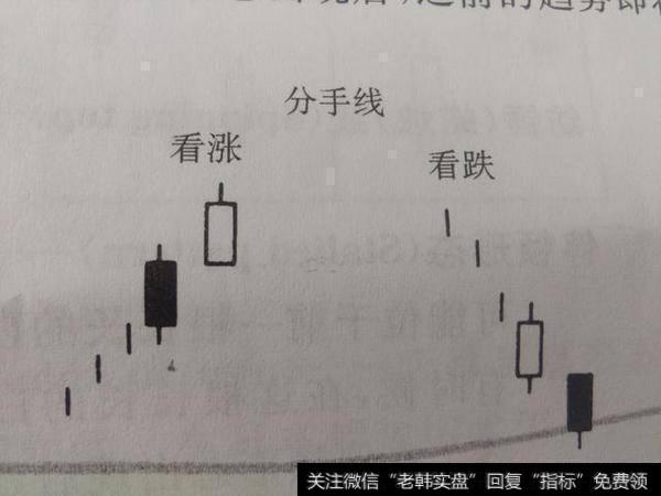 分手线形态