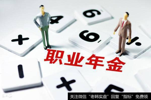 职业年金