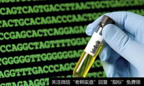 基因界腾讯”华大基因今上市